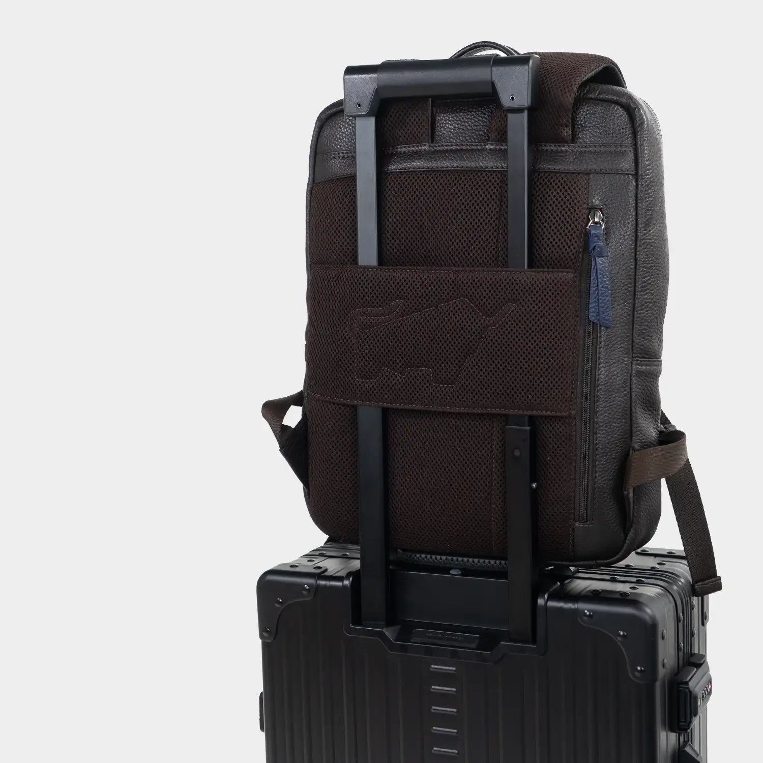 Trolley Link NOVARA Rucksack braun