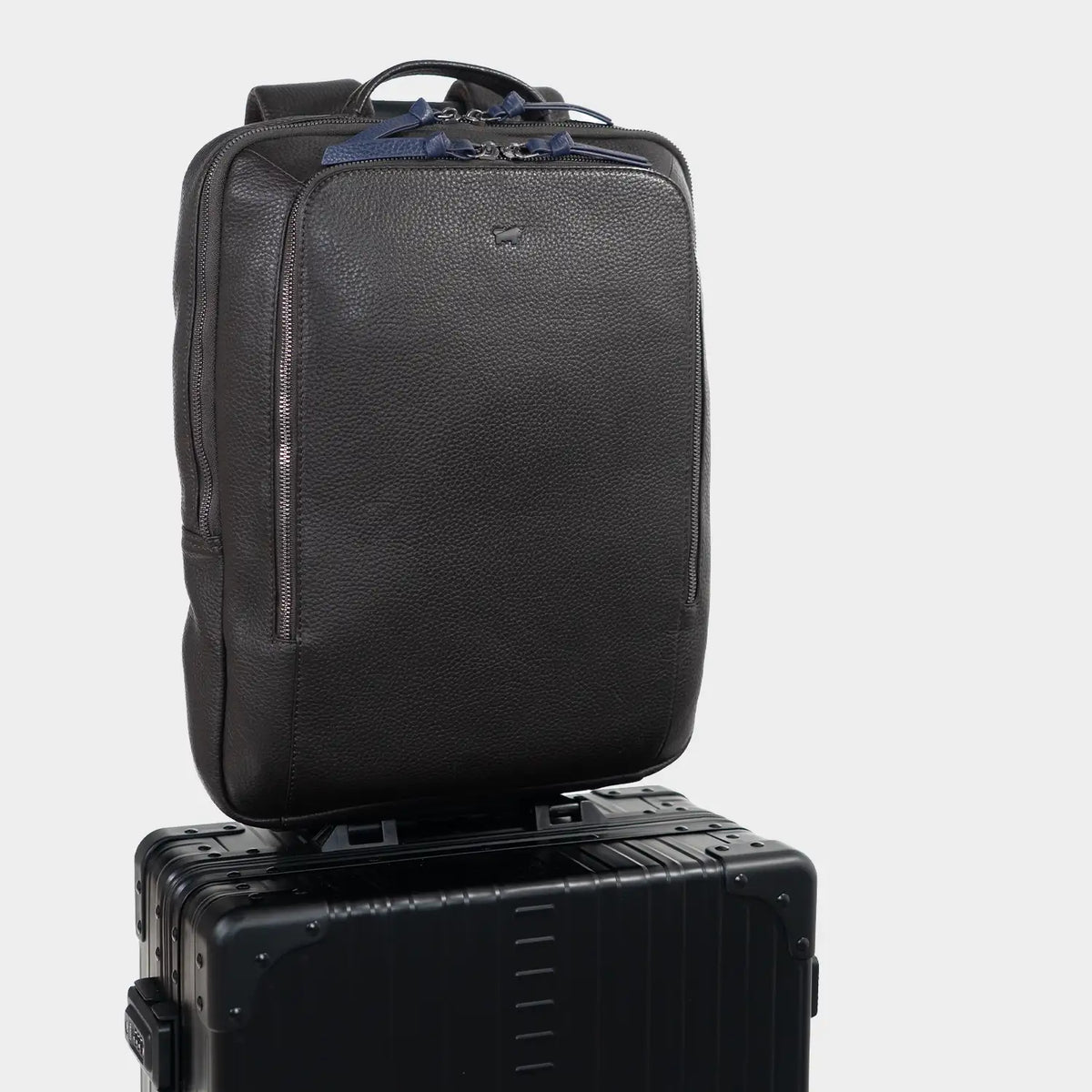 Trolley Link NOVARA Rucksack braun