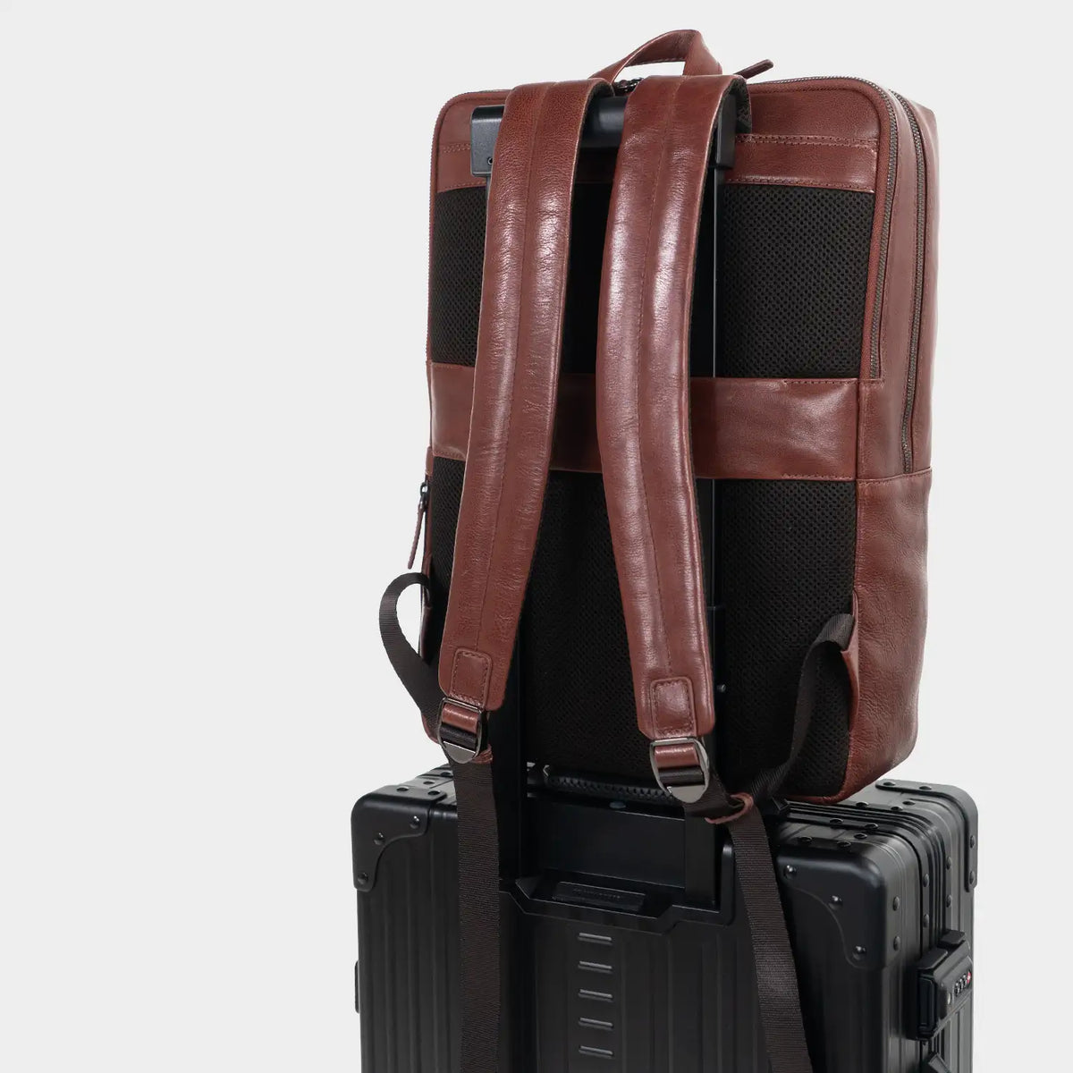 Trolley Link AREZZO Rucksack tabak
