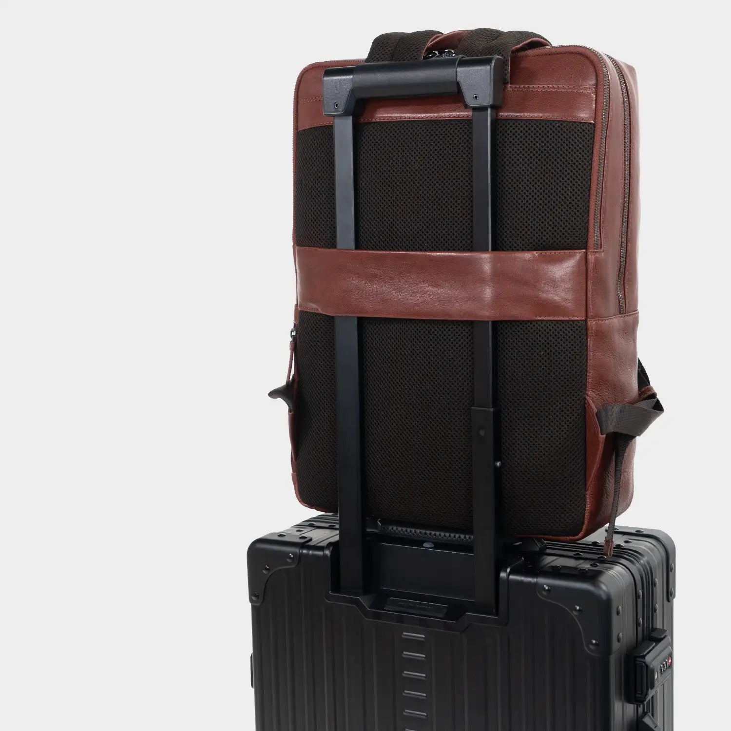 Trolley Link AREZZO Rucksack tabak